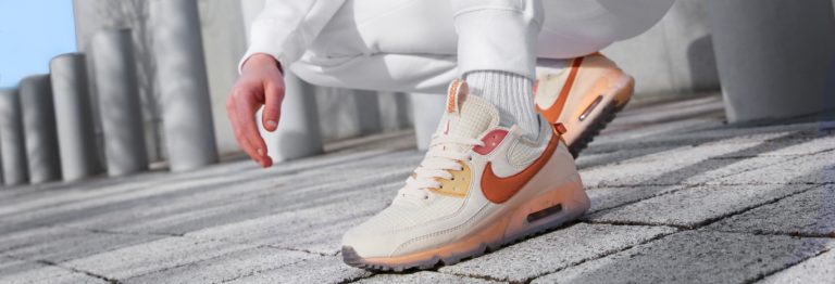 Air Max 90 Terrascape